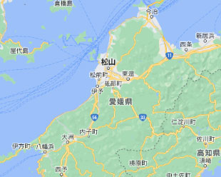 Google Maps(地図)