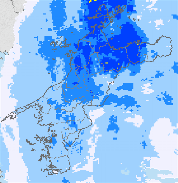 雨量分布